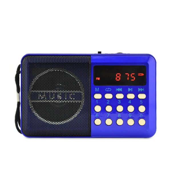 Small Portable HO11U Digital Radio
