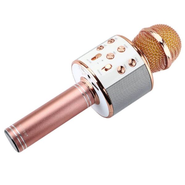 BLUETOOTH MICROPHONE WITH KARAOKE